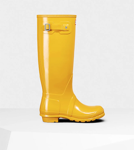 Hunter Boots