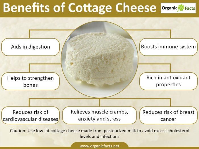 Cottage Cheese Health Benefits